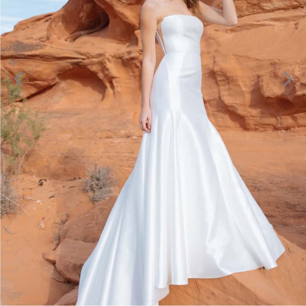 Jenny Yoo Classic White Strapless Wedding Dress (Lucia Wedding Dress) - Picture 4 of 11